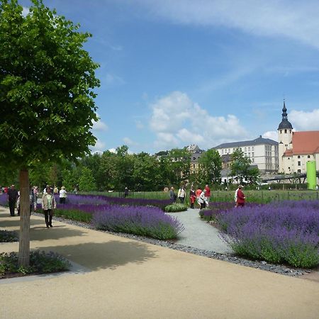 Hotel Am Park Reichenbach im Vogtland Buitenkant foto
