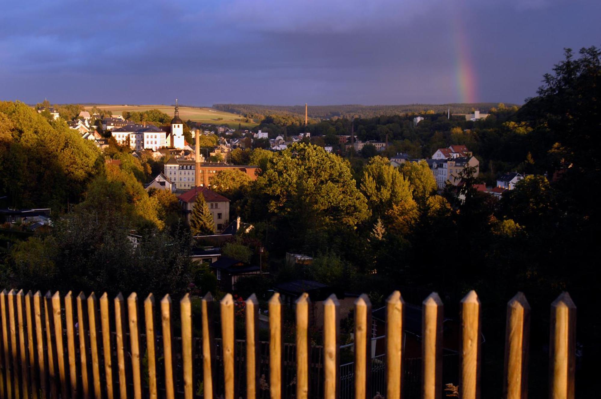 Hotel Am Park Reichenbach im Vogtland Buitenkant foto