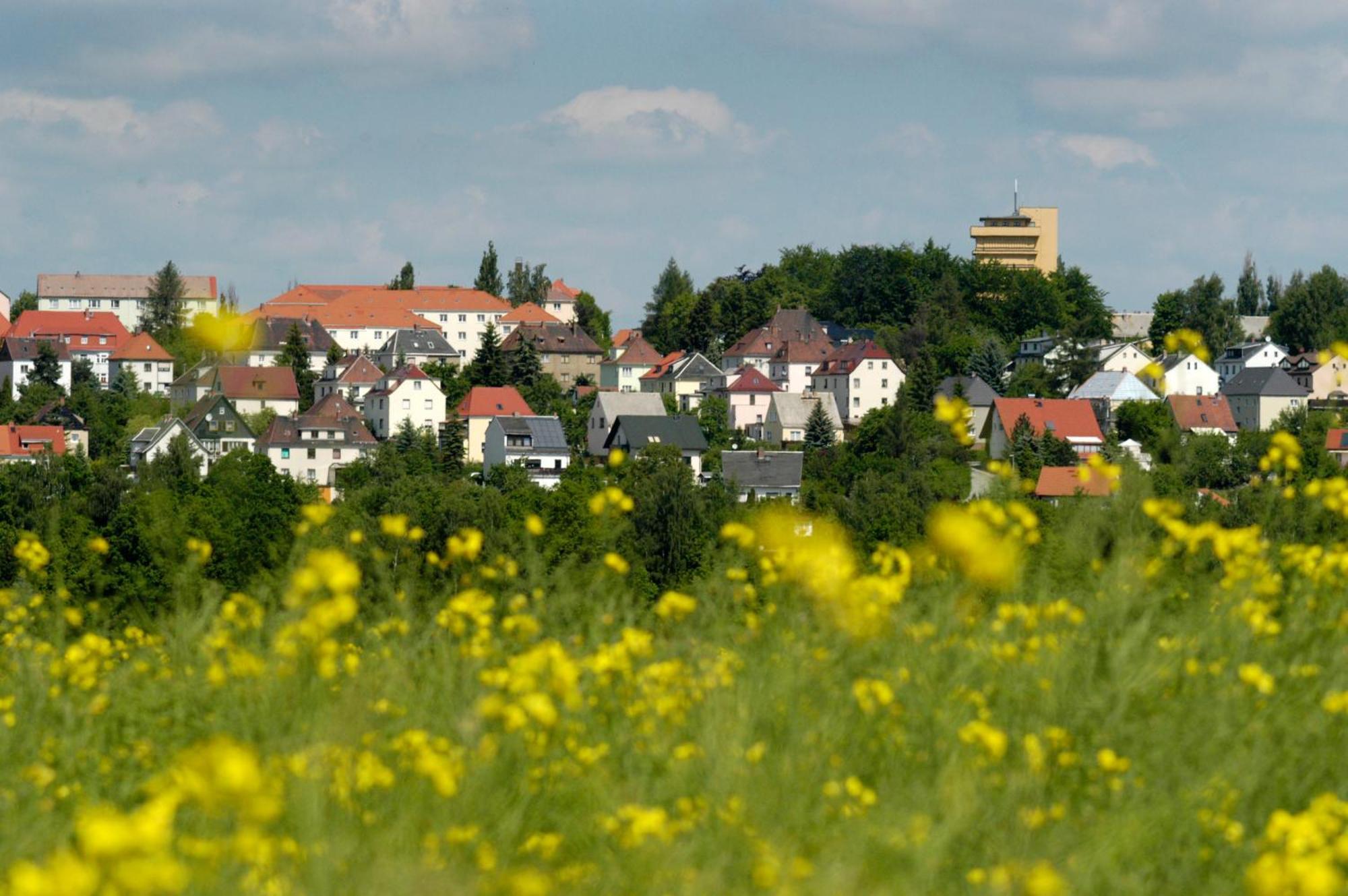 Hotel Am Park Reichenbach im Vogtland Buitenkant foto